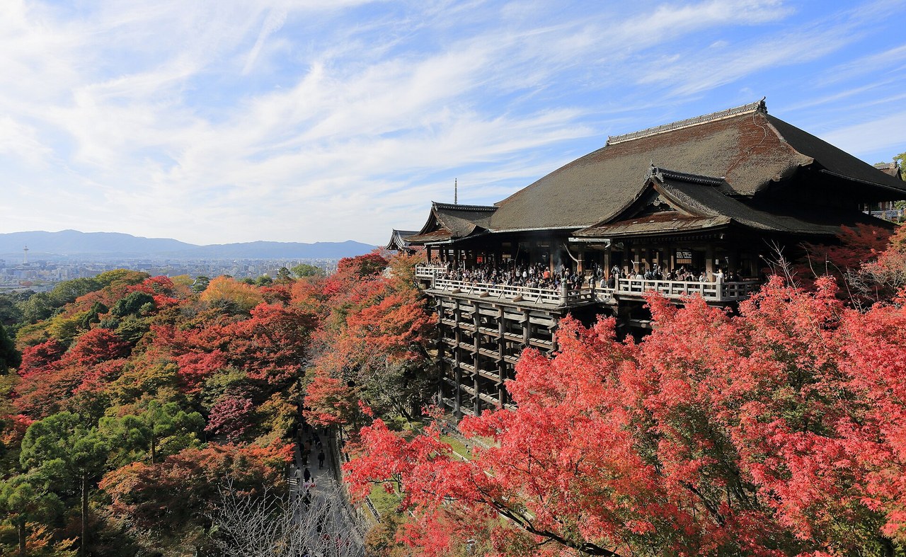 Kiyomizu-dera temple's wooden stage above red autumn maples, Kyoto