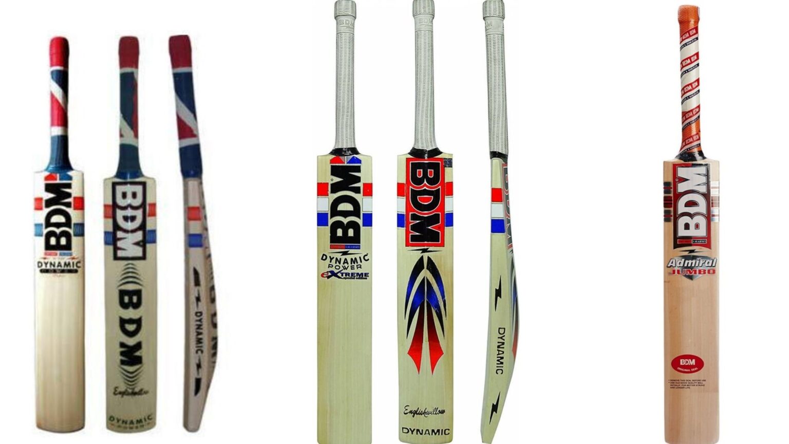 Top 10 Best Cricket Bat in India (Quality)