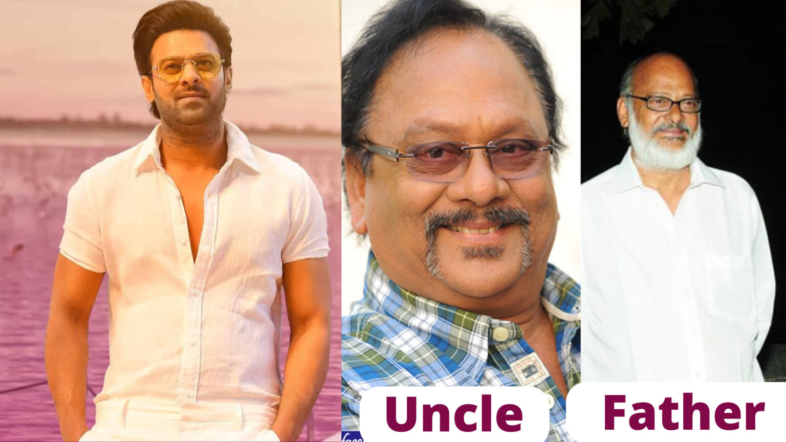 Top 10 South Indian Actor Father And Son (Tollywood)