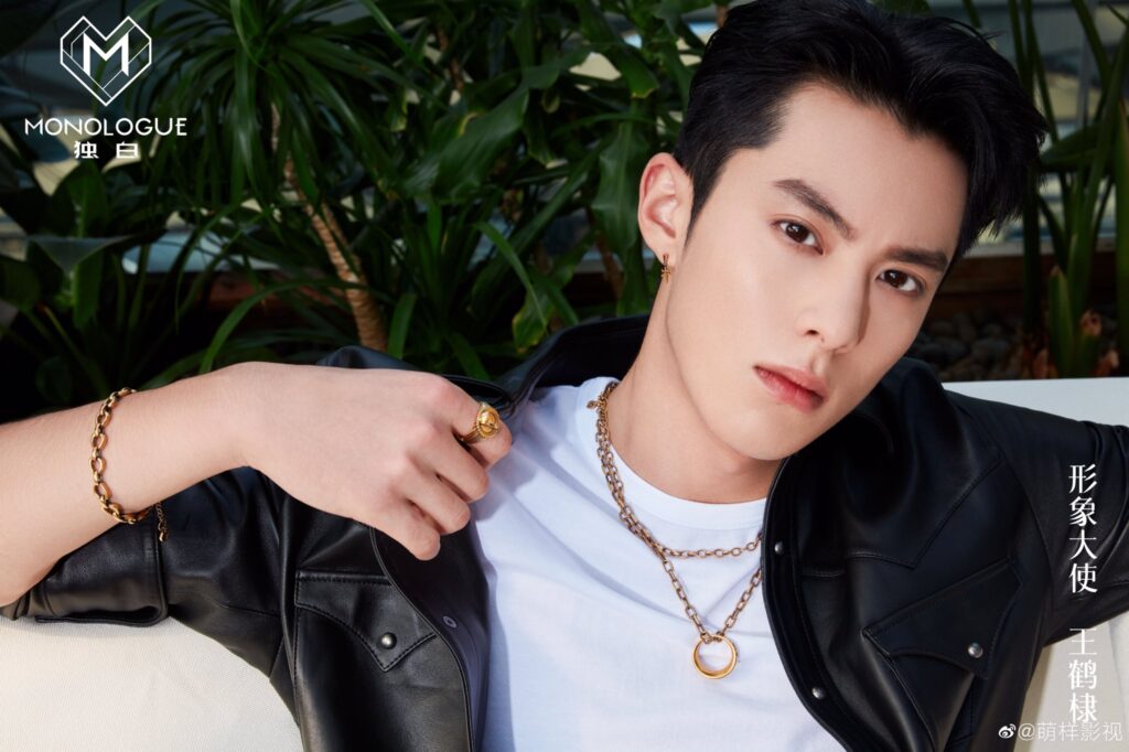 Dylan Wang Hd Wallpaper