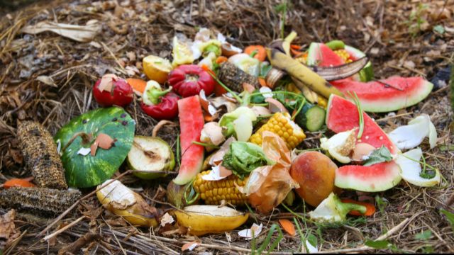 Biodegradable Home waste