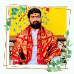 Pandit P.N Rao Astrologer