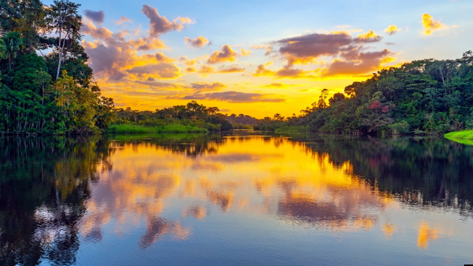 Amazon Rainforest Brazil Peru Ecuador