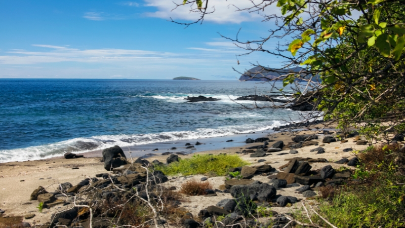 Galapagos Islands Ecuador Wildlife snorkeling