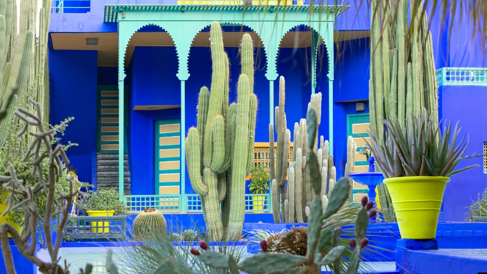 Marrakech Morocco Jemaa el Fnaa Majorelle Garden