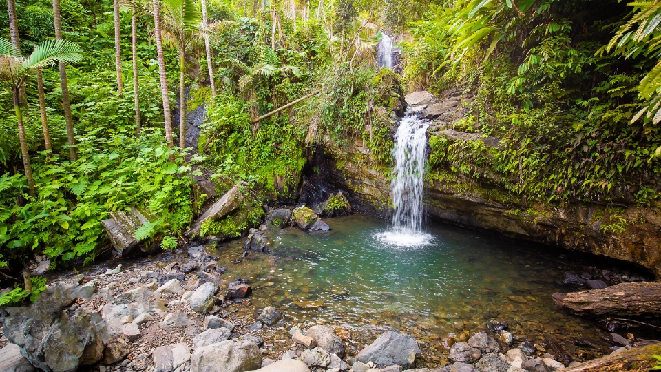 Puerto Rico Old San Juan El Yunque Rainforest