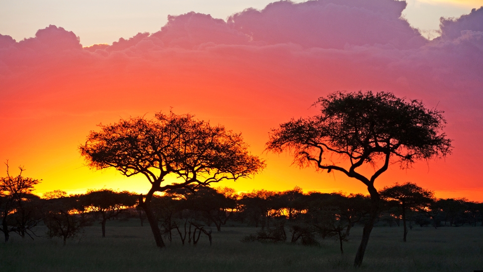 Serengeti National Park Tanzania Great Migration